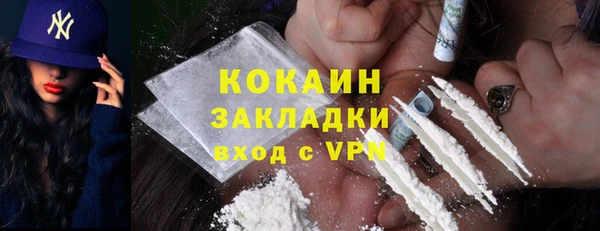 прущие грибы Абаза