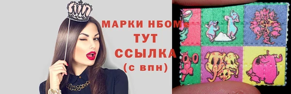 прущие грибы Абаза