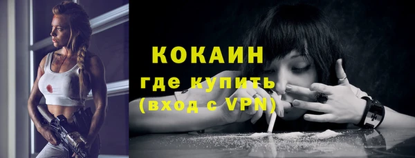 прущие грибы Абаза