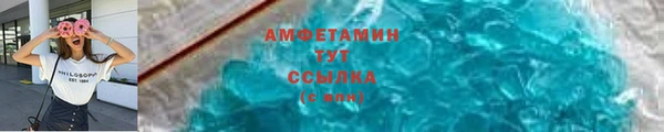 прущие грибы Абаза