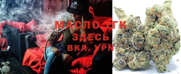 прущие грибы Абаза