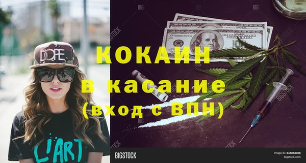 прущие грибы Абаза