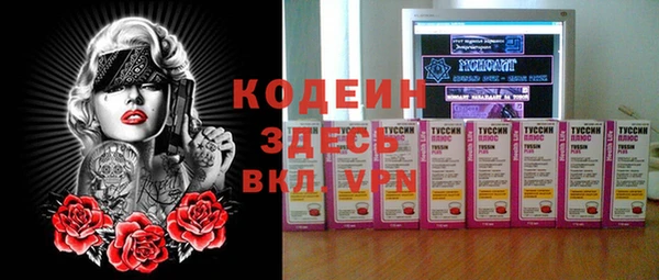 прущие грибы Абаза