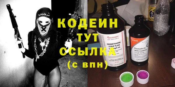 прущие грибы Абаза