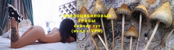 крисы Абинск