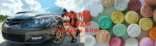 прущие грибы Абаза