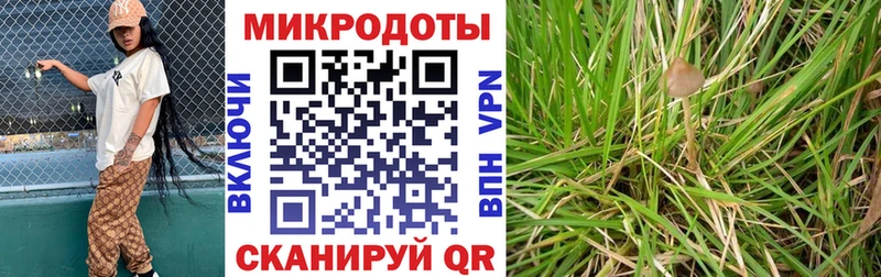 это официальный сайт  Яхрома  Галлюциногенные грибы Magic Shrooms  купить наркоту 